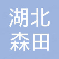 湖北森田工程机械有限公司