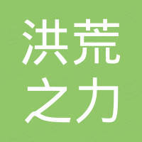 大连洪荒之力电子科技有限公司