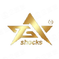 东莞市霸哥减震技术有限公司