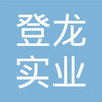 广州登龙实业有限公司