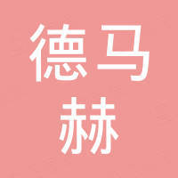 德马赫（河南）动力科技有限公司