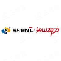 山东省梁山神力汽车配件有限公司