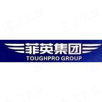 黄山菲英汽车零部件有限公司