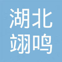 湖北翊鸣电子科技有限公司