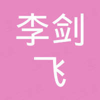 宁津李剑飞汽车配件有限公司