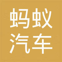 山东蚂蚁汽车科技有限公司