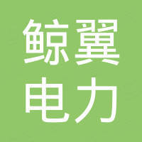 南京鲸翼电力新能源有限公司