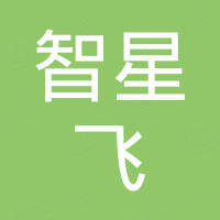 南京智星飞科技有限公司