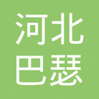 河北巴瑟进出口有限公司