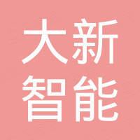 深圳市大新智能装备技术有限公司