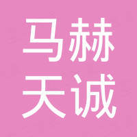 北京马赫天诚科技有限公司