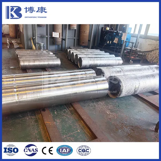 Aerospace Titanium Alloy Commercially Pure Ti and Ti Alloy Ingot for Aircraft