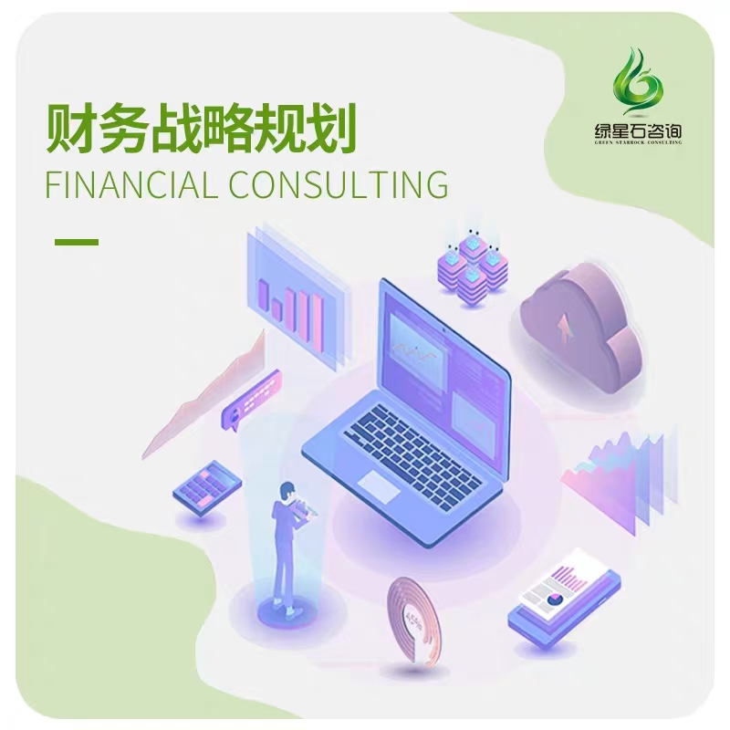 财务咨询财务战略规划企业发展规划财务管理预算管理咨询顾问题