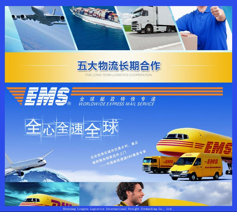 Fast DDU Express Courier From Shenyang China to French