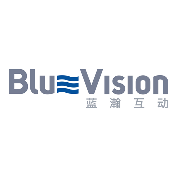 blue vison internet marketing