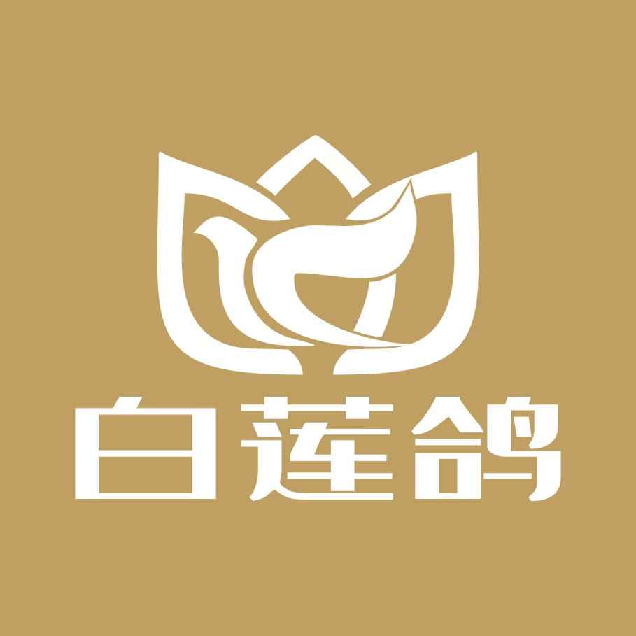 Bailiange Enterprise Marketing Planning