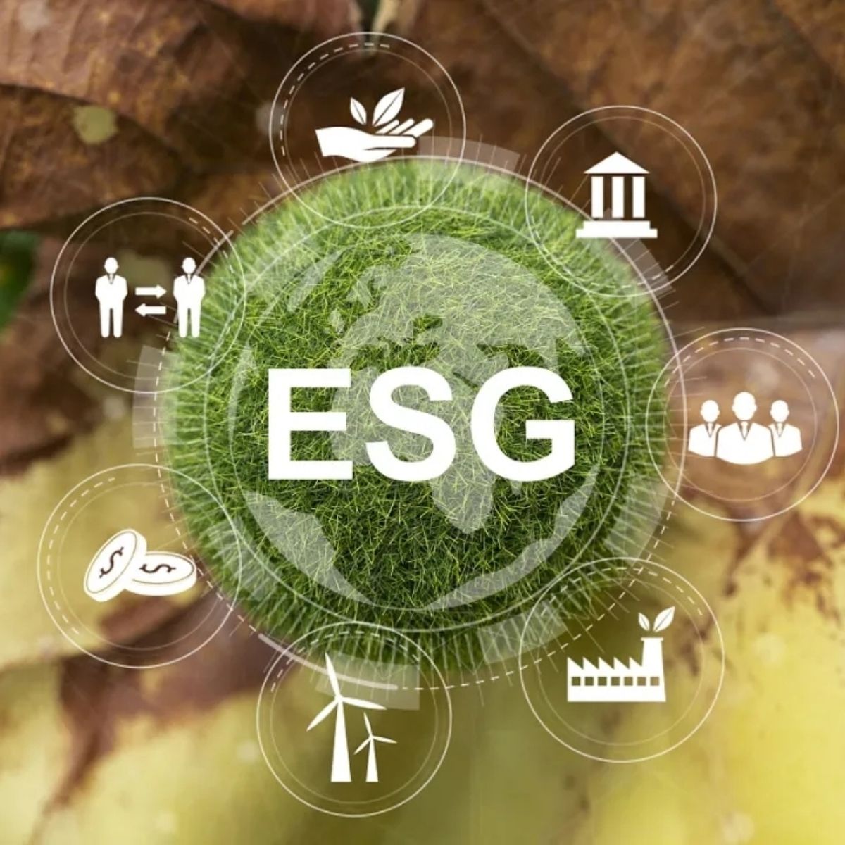 ESG Disclosure Report
