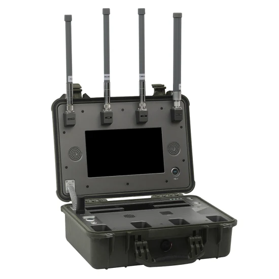 Image 2