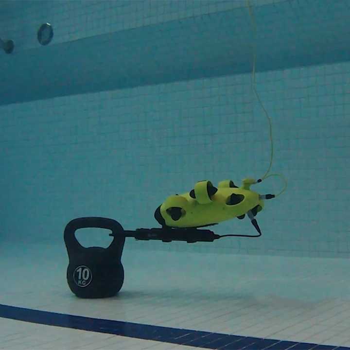 Image 5
