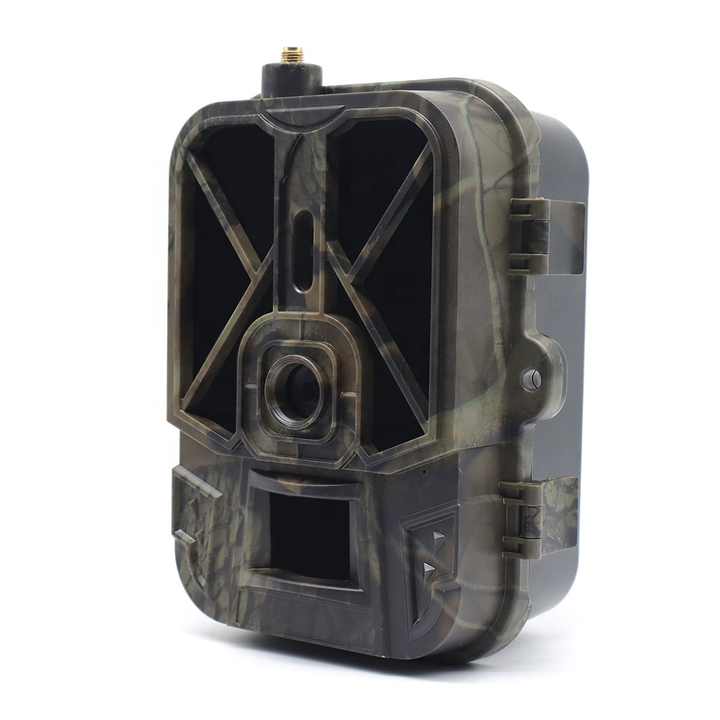 Image 4