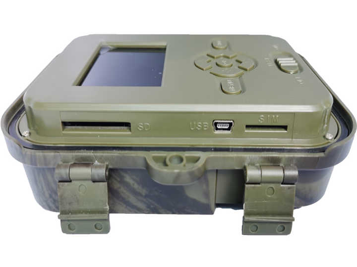 Image 5