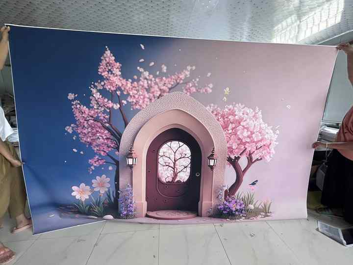 Image 5