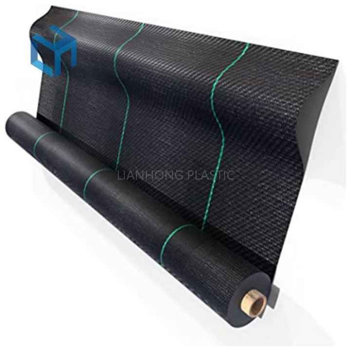 Image 5