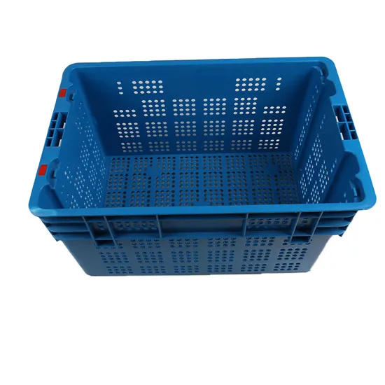 Image 6