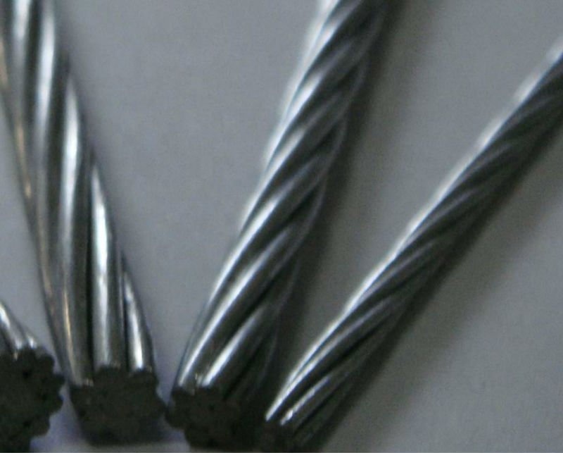 detail