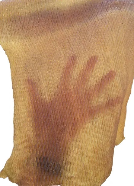 detail