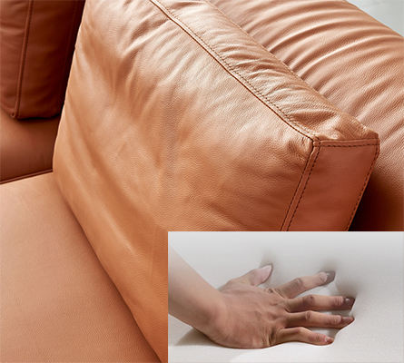 detail