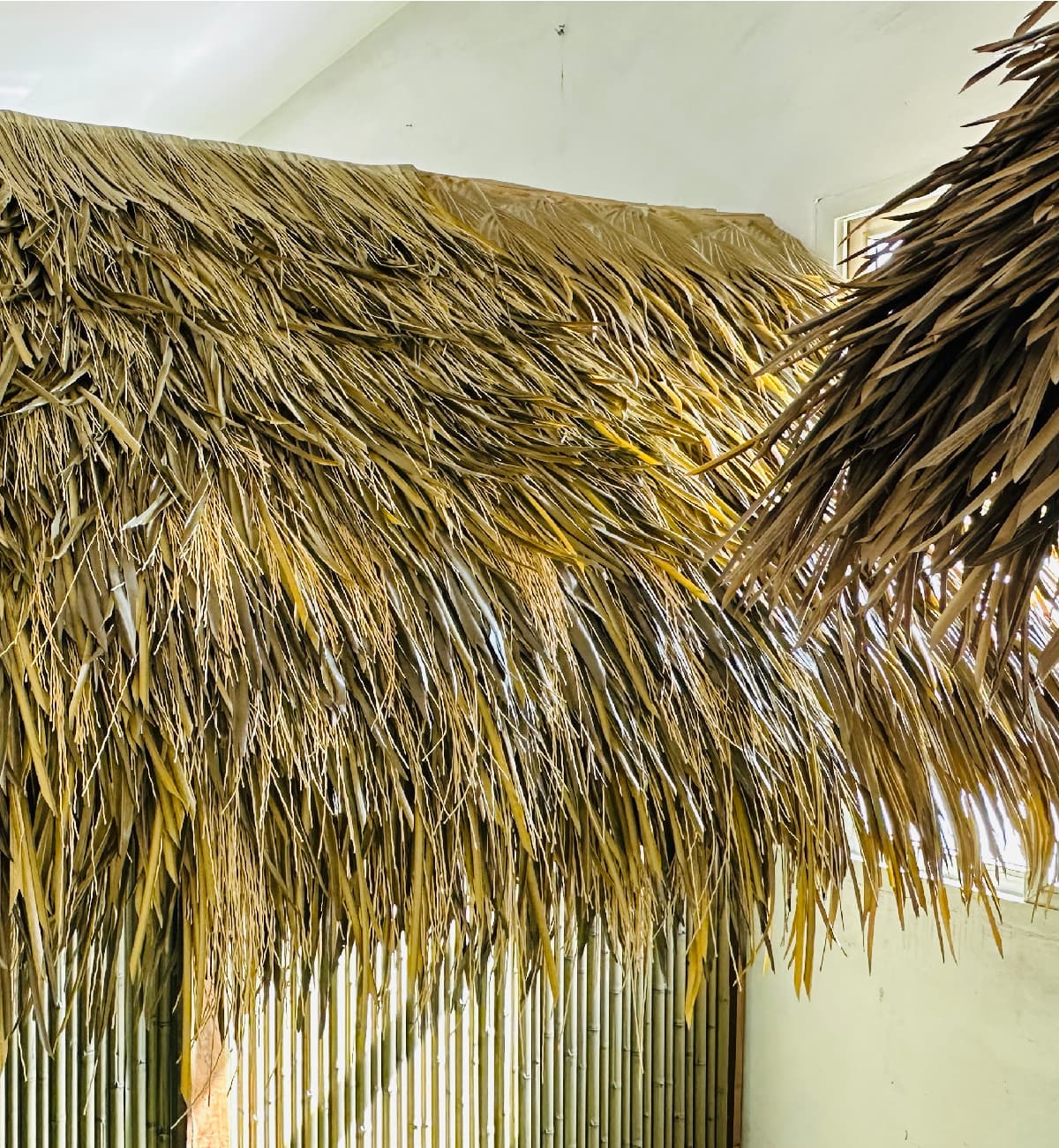 detail